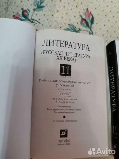 Литература 11 класс Агеносов