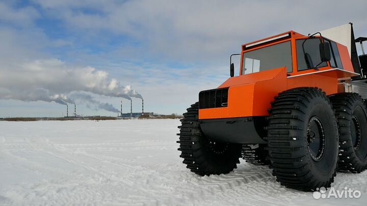 Снегоболотоход 