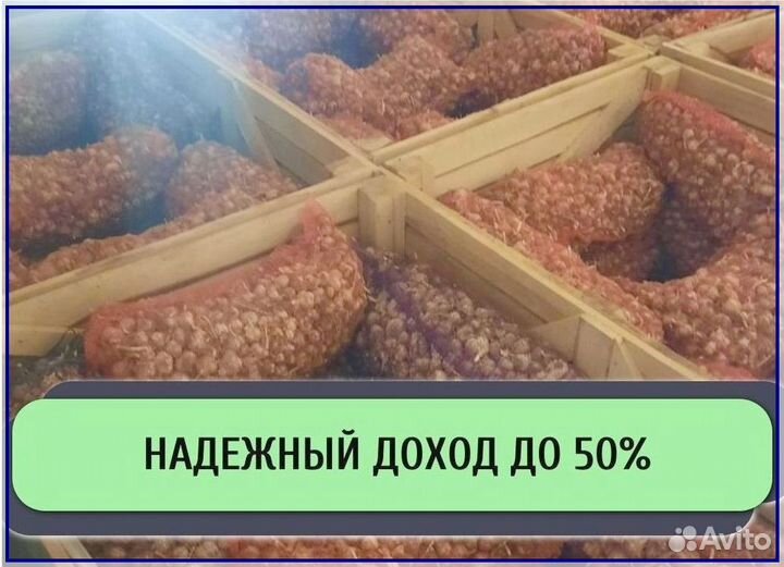 Ищем инвестора / Доход до 50%