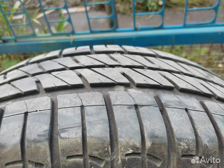 Sava Perfecta 185/65 R14