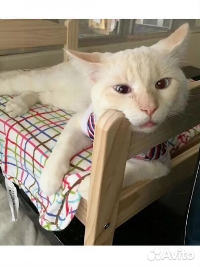 Кроватка/лежанка для животных