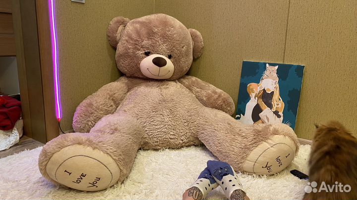 Плюшевый медведь