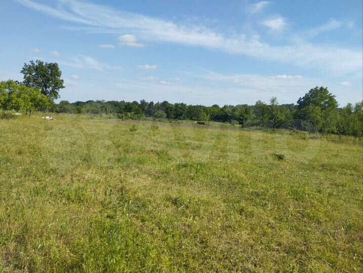 Участок 94 сот. (СНТ, ДНП)