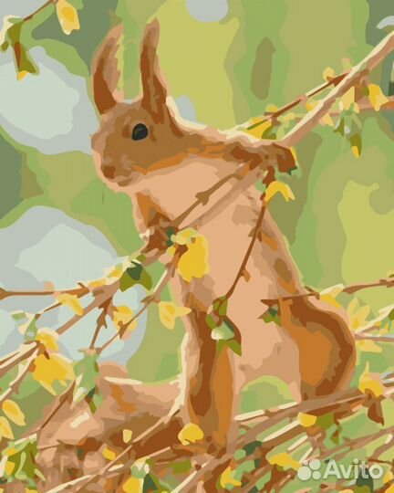 Картина по номерам - Белочка