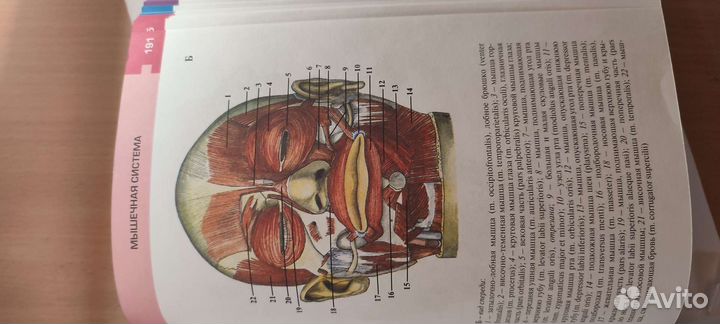 Атлас по анатомии и физиологии человека