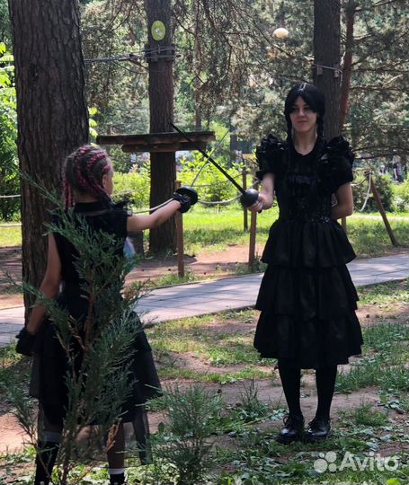 Аниматор Уэнсдей