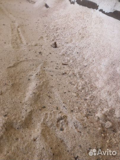 Опил Липа, Осина, Берёза