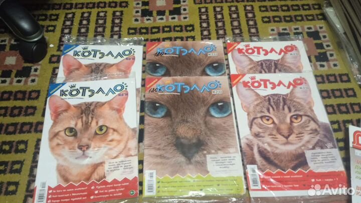 Друг кошек, друг собак, Котэлло, барбос