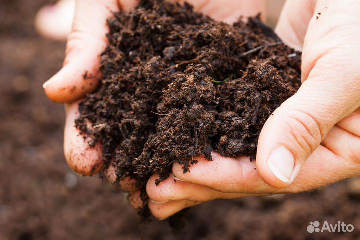 Доставка торфа