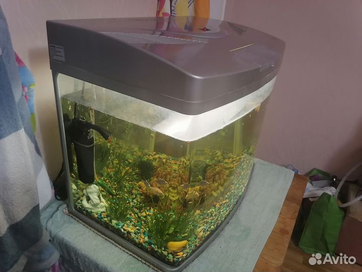 Аквариум 100л