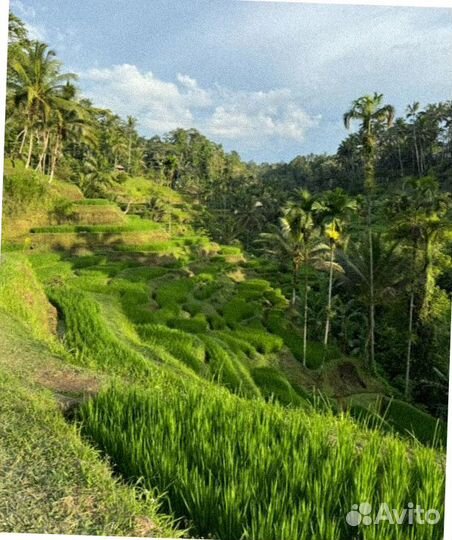 Тур-путевка о Бали отель 4-5* с завтраком