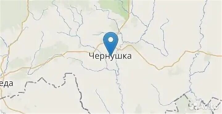 Чернушка штутгартер