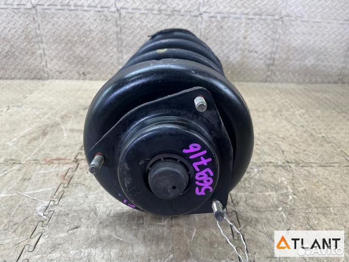 Стойка передняя левая nissan elgrand