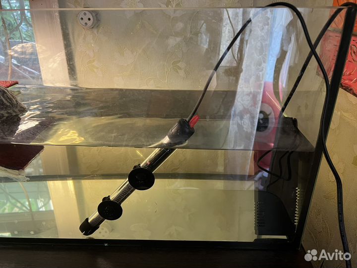 Аквариум для черепах с черепашками