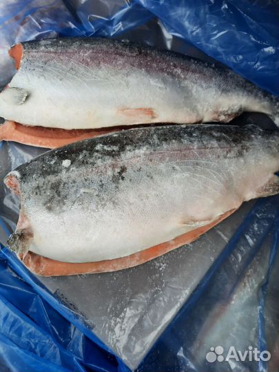 Горбуша, нерка, форель