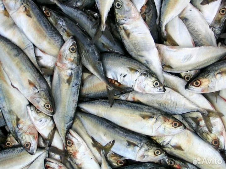 Гибкая франшиза магазина с ассортиментом