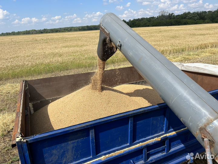 Тракторист механизатор с проживанием