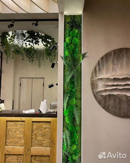 Фитостены из натур.мха и растений, Панно, Панели