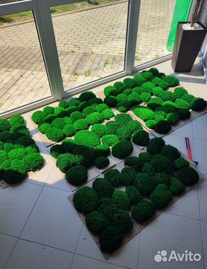 Яркий сочный мох для декора стен