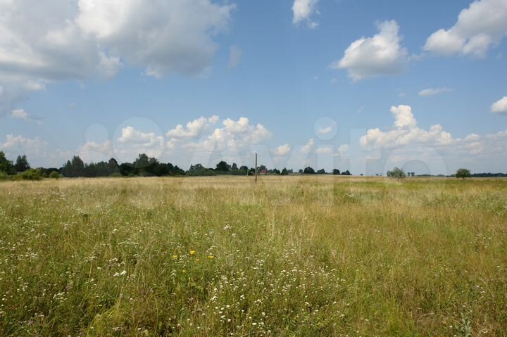 Участок 19,5 сот. (ИЖС)