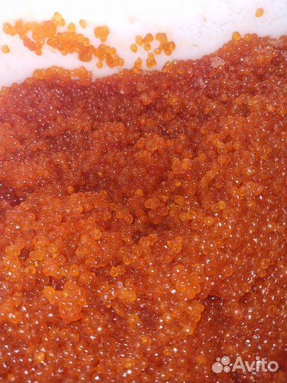 Красная икра 2023