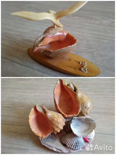 Сувенир Ракушка СССР