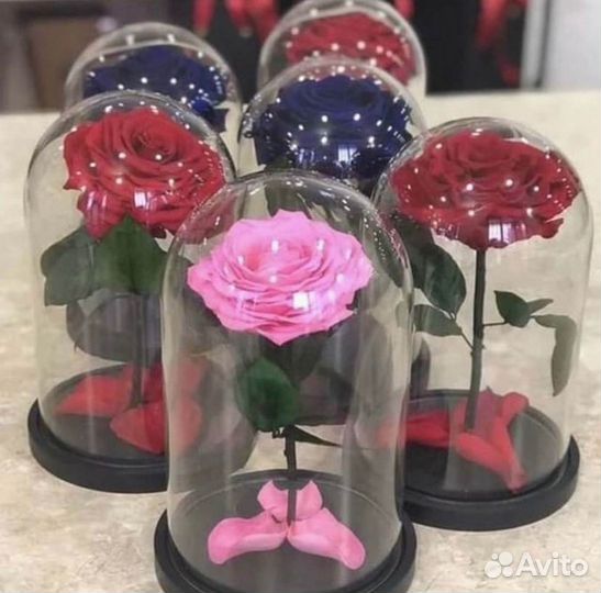 Вечная роза в колбе
