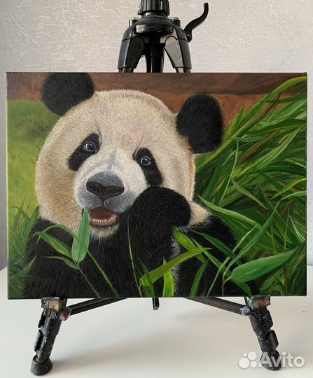Картина маслом на холсте Панда