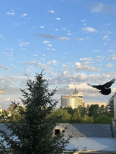 2-к. квартира, 80,3 м², 4/5 эт.