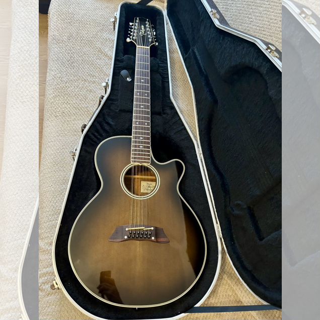 12 ти струнная гитара Takamine