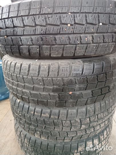 Dunlop SP Winter Maxx WM01 175/70 R13