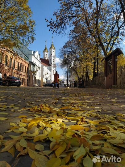 Витебск Топ-Экскурсия Обзорная прогулка «Витебские
