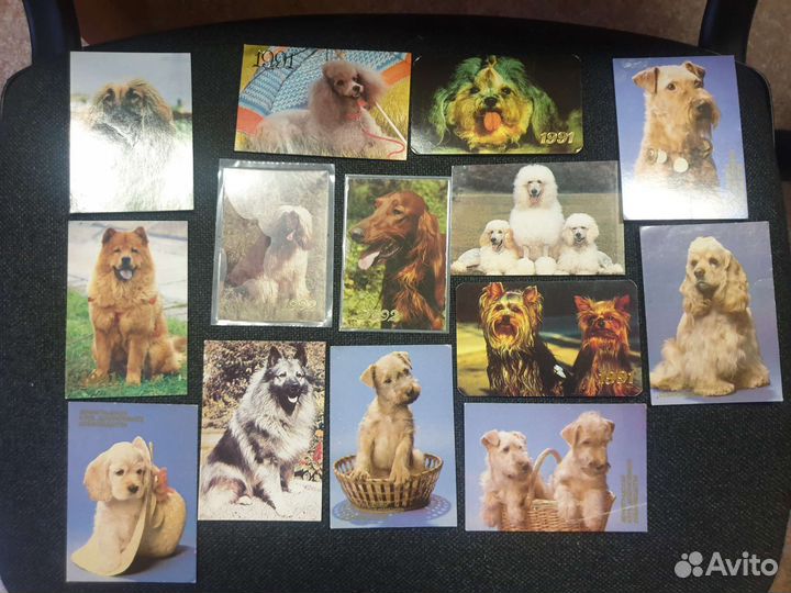 Коллекция календариков Собаки