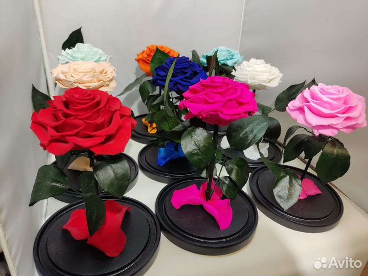 Цветы оптом