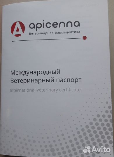 Йоркширский терьер Щенки стандарт