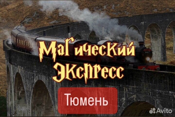 Билеты на поезд Гарри Поттера магический экспресс
