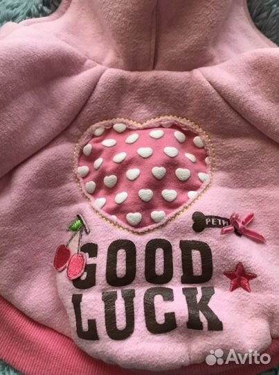 Худи для маленькой собаки