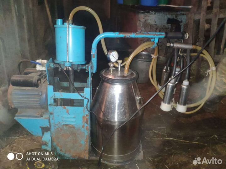 Доильный аппарат для коров бу в хорошем состоянии