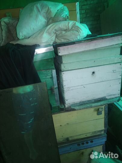Ульи для пчел
