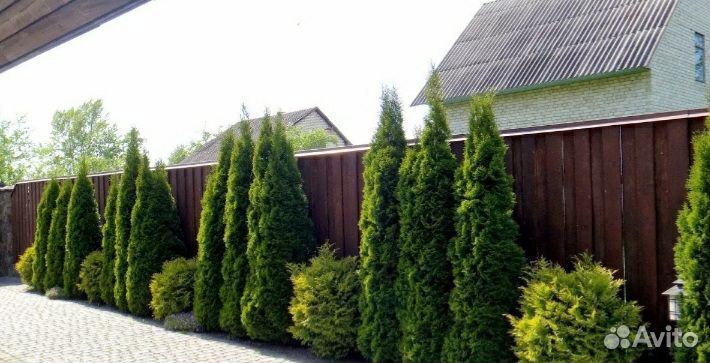 Благоустройство, работы в саду, покос травы