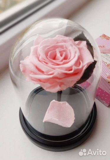 Роза в колбе. Оттенок на выбор