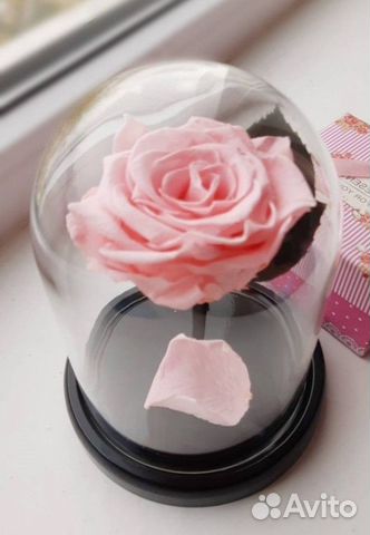 Роза в колбе. Оттенок на выбор