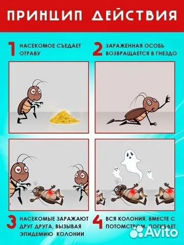 Отрава от тараканов