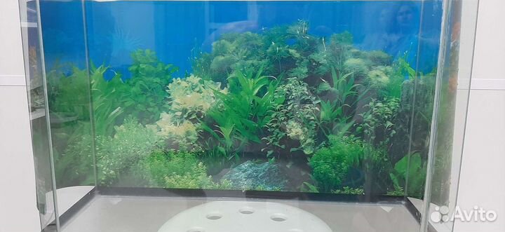 Аквариум 70 литров