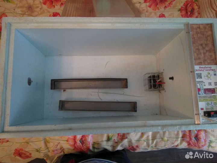 Инкубатор блиц norma