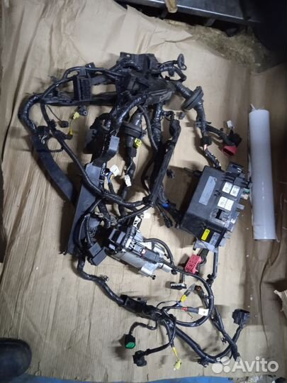 Проводка жгут моторного отсека genesis G70
