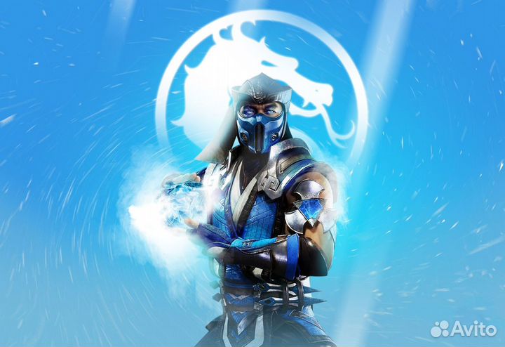 Mortal Kombat 11 PS4/PS5 Владикавказ