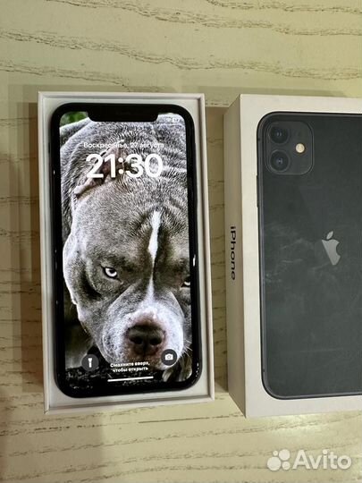 Apple iPhone 11