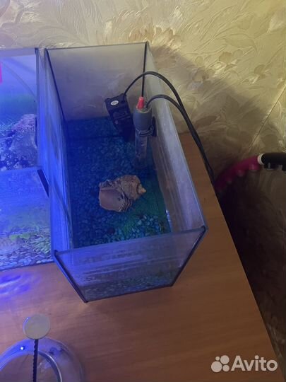 Аквариум