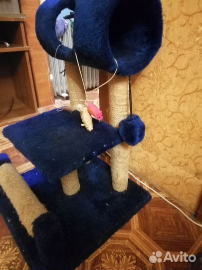 Когтеточка домик для кошки бу